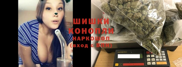 МДПВ Гусев