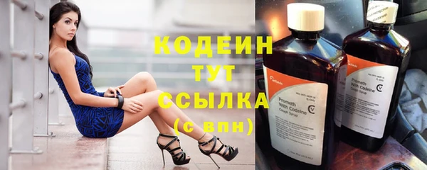 МДПВ Гусев