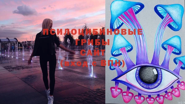 МДПВ Гусев