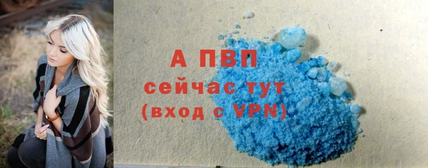 МДПВ Гусев