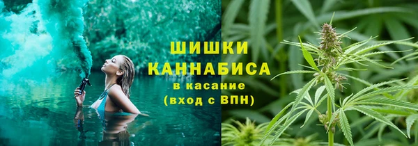 прущие грибы Снежинск