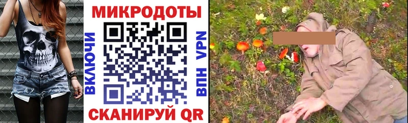 Галлюциногенные грибы Psilocybe Купить где Княгинино