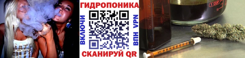 Шишки марихуана план  Купить  Княгинино 